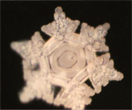 Antarctic Ice