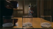 Masaru Emoto - Experiment s rýží